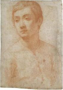 Head Of A Youth Looking To The Right