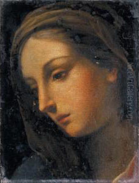 Testa Femminile - view 1