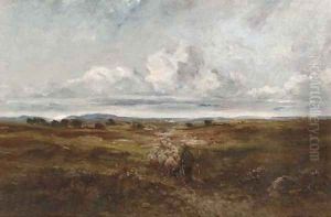 Driving the sheep by David Cox