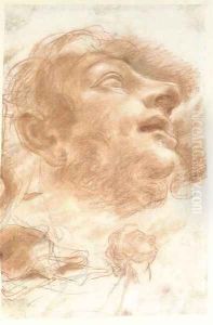 Head of a man looking up by Domenico Maria Canuti