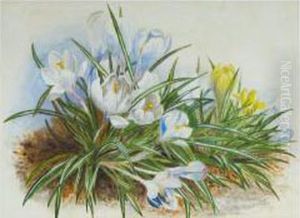 Still Life Crocuses by William Lister Lister
