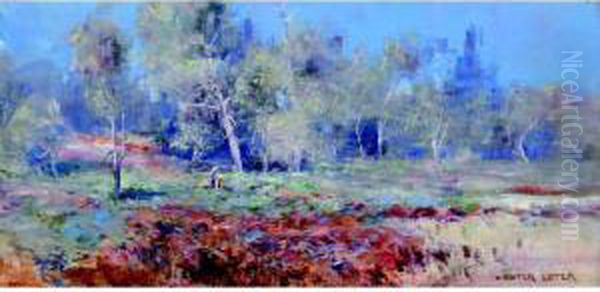 Blue Gums - view 1