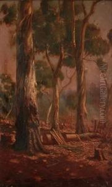 Lumber Camp - view 1