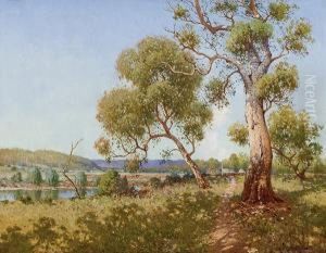 Landscape Landscape