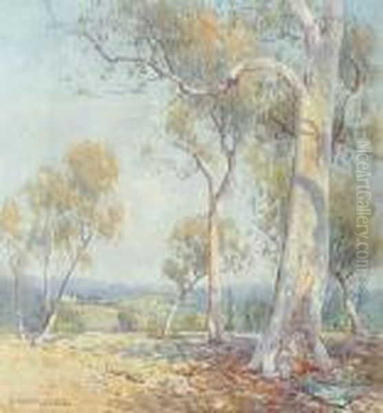 Among The Gum Trees - view 1