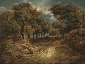 A path on Mouse Hole Heath