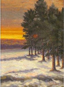 Coucher De Soleil Sur Un Paysage De Sapinsenneige