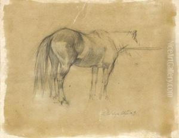 Studio Di Cavallo - view 1