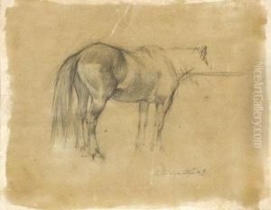 Studio Di Cavallo by Llewelyn Lloyd