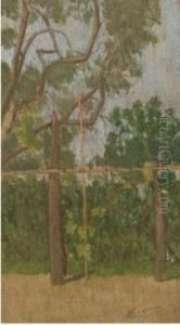Marina Di Pisa by Llewelyn Lloyd