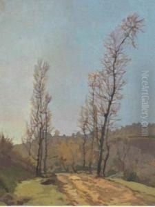 Strada Alberata by Llewelyn Lloyd