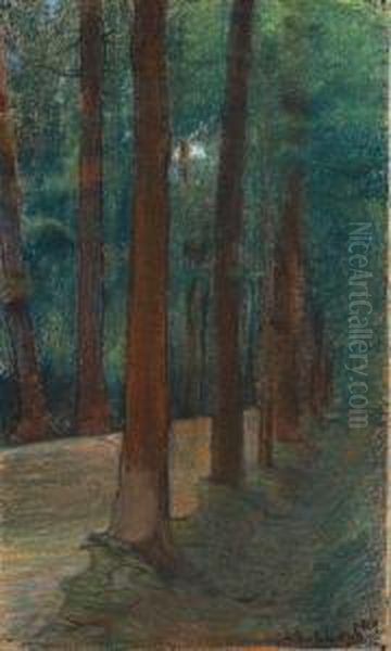 Bosco - view 1