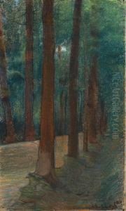 Bosco by Llewelyn Lloyd