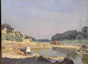 Scorcio Delle Cascine Sulla Riva Dell?arno