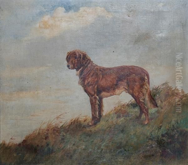 A Golden Retriever Standing In Long Grass - view 1