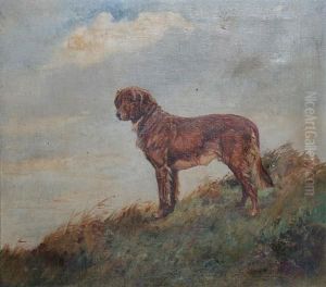 A Golden Retriever Standing In Long Grass by Thomas Ivester Lloyd