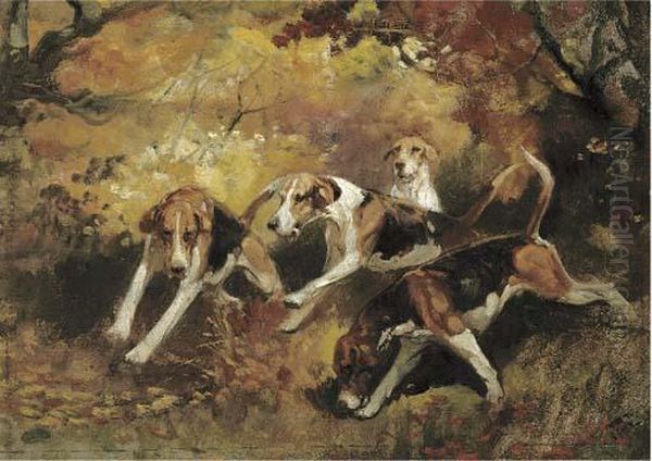 Hounds On The Scent - view 1