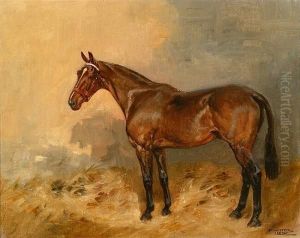Portrait Of A Bay Horse In A Stable Interior, Signed Oil On Canvas