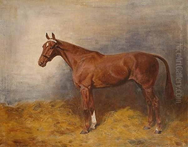 Portrait Of A Horse In A Stable - view 1