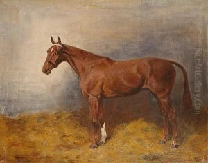 Portrait Of A Horse In A Stable by Thomas Ivester Lloyd
