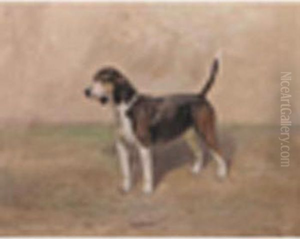 Portrait Of The Beagle Bitch 'bashful' - view 1