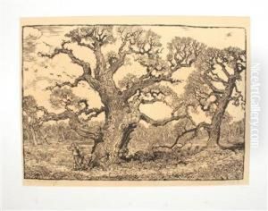 "aus Der Pohanska Bei Lundenburg Ii" by Switbert Lobisser
