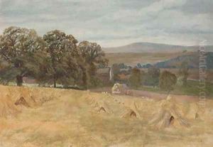 Haymaking by Thomas Jun Cafe