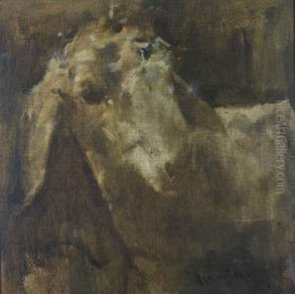 Pecora - view 1