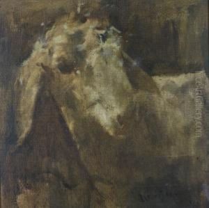 Pecora by Romualdo Locatelli