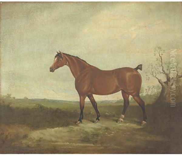 A horse in a landscape - view 1