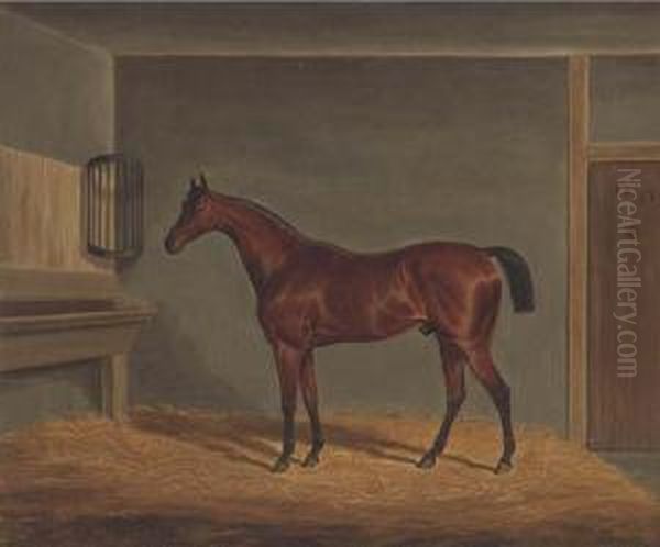 A Bay Racehorse In A Stable - view 1