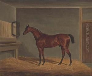 A Bay Racehorse In A Stable