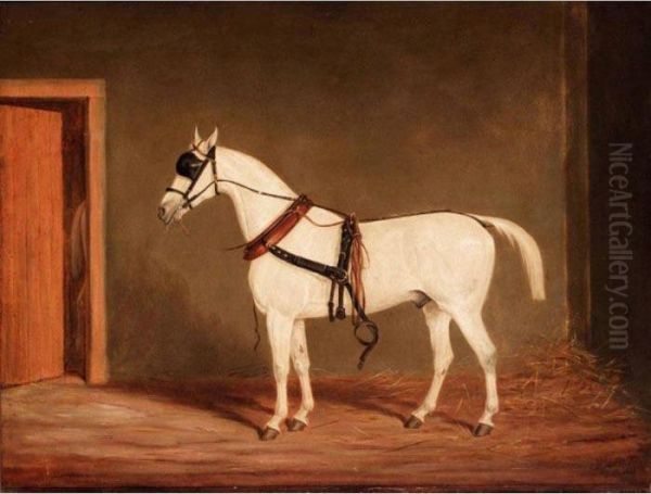 Horse On Harness - view 1