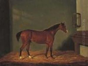A Bay Hunter In A Stable
