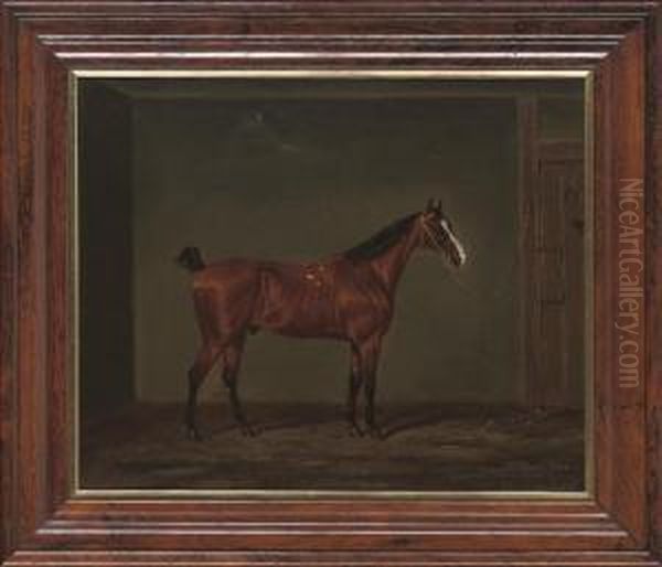 Matt O' The Mint - view 1