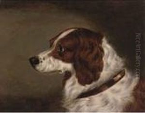 The Head Of A Spaniel; And The Head Of Gundog