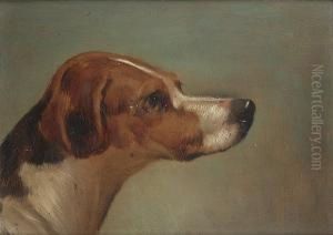 Head Of A Hound