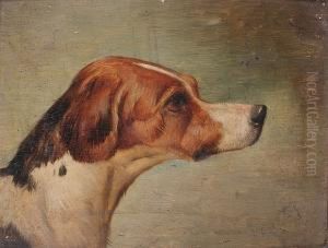 Head Of A Hound