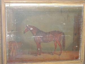 A Chestnut Hunter In A Loosebox