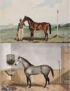 Master Tom; Hockowz