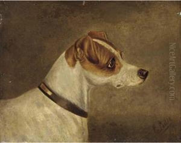 Head Of A Terrier - view 1