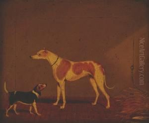 A Greyhound And A Beagle In A Stable
