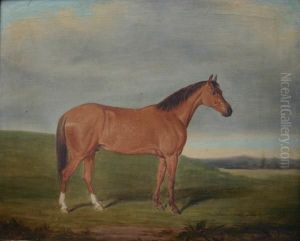 Chestnut Hunter In A Landscape