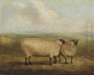 A Prize Ram Bred By Mr. William Sainsbury by James Loder Of Bath