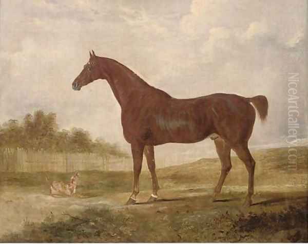 A chestnut hunter and a terrier in an extensive landscape - view 1