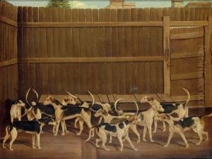 Hounds In A Kennel