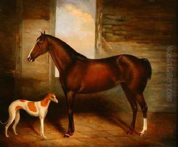 Bay Thoroughbred With Greyhound In A Barn Interior - view 1