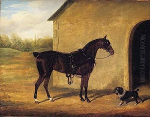 Caballo Con Perro