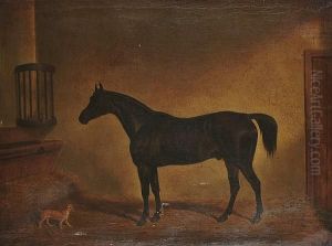 'hunter Of The Rev. Edwin Coleridge's'