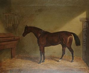 A Bay Hunter In A Stable
